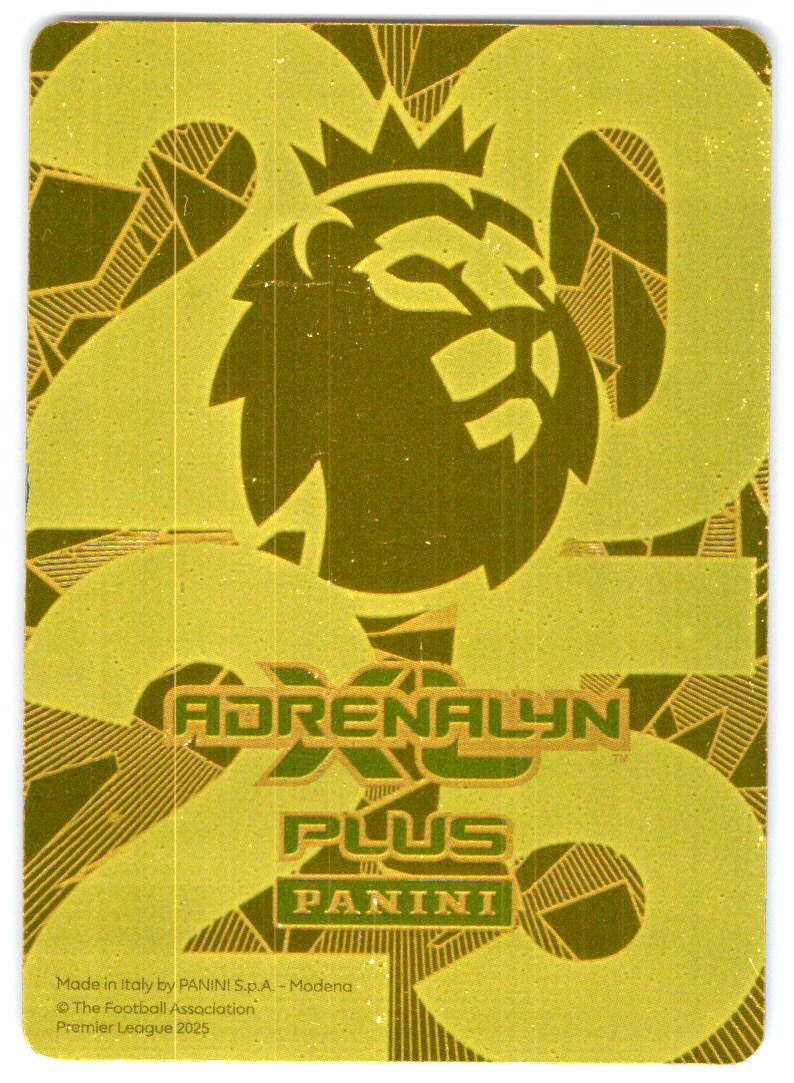 Erling Haaland (Manchester City) Golden Baller Panini Premier League Adrenalyn XL Plus 2025