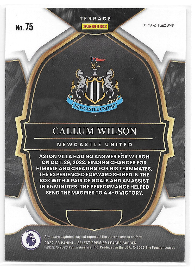 Callum Wilson (Newcastle United) Terrace Red Panini Select Premier League 22-23